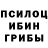 Галлюциногенные грибы Cubensis jaivan