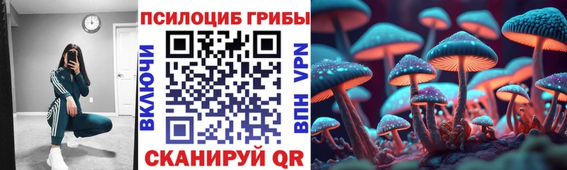 Псилоцибиновые грибы Magic Shrooms  Купить где  Кемь 